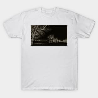 Dreams About Trees - Infrared T-Shirt